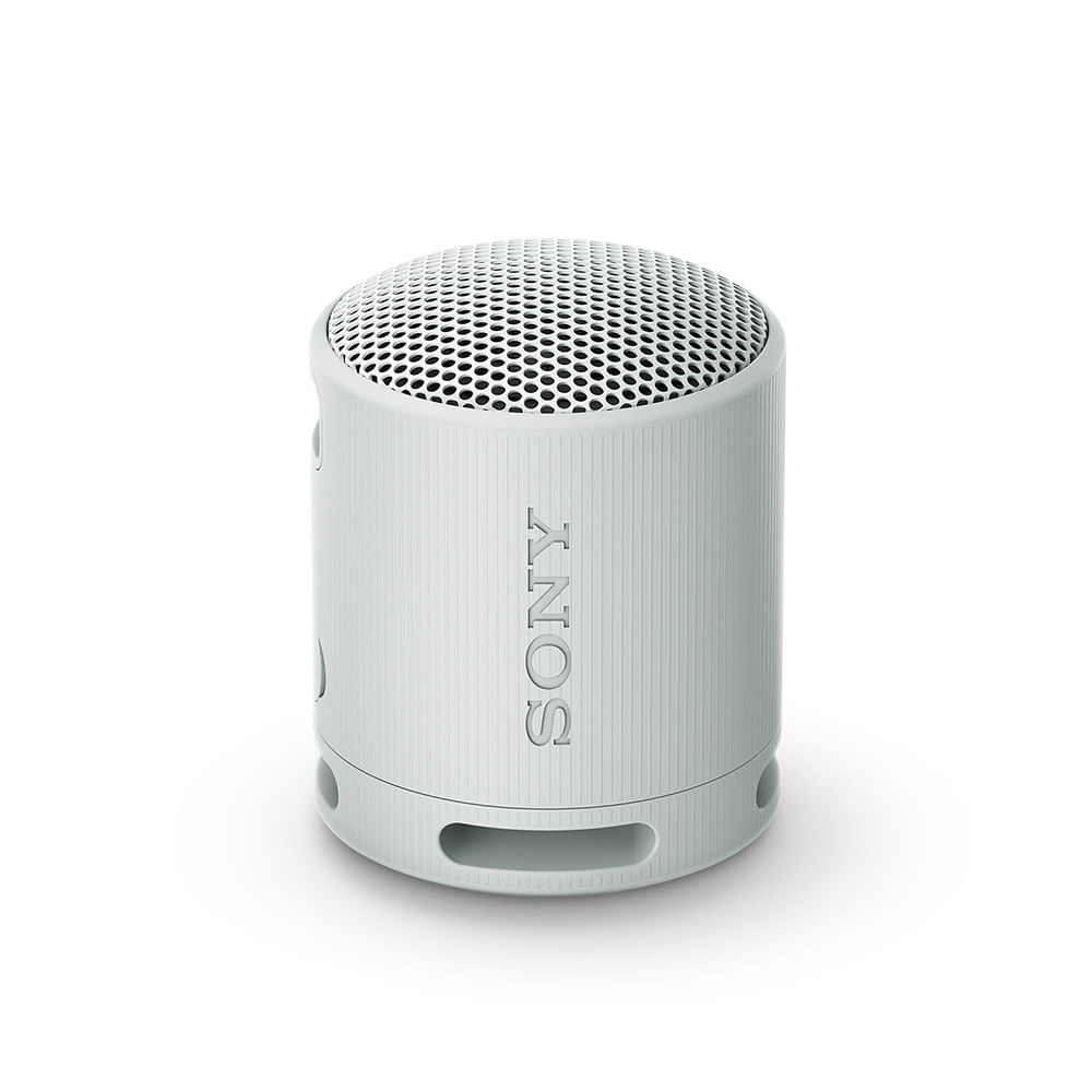 SONY Parlante inalámbrico portátil XB100