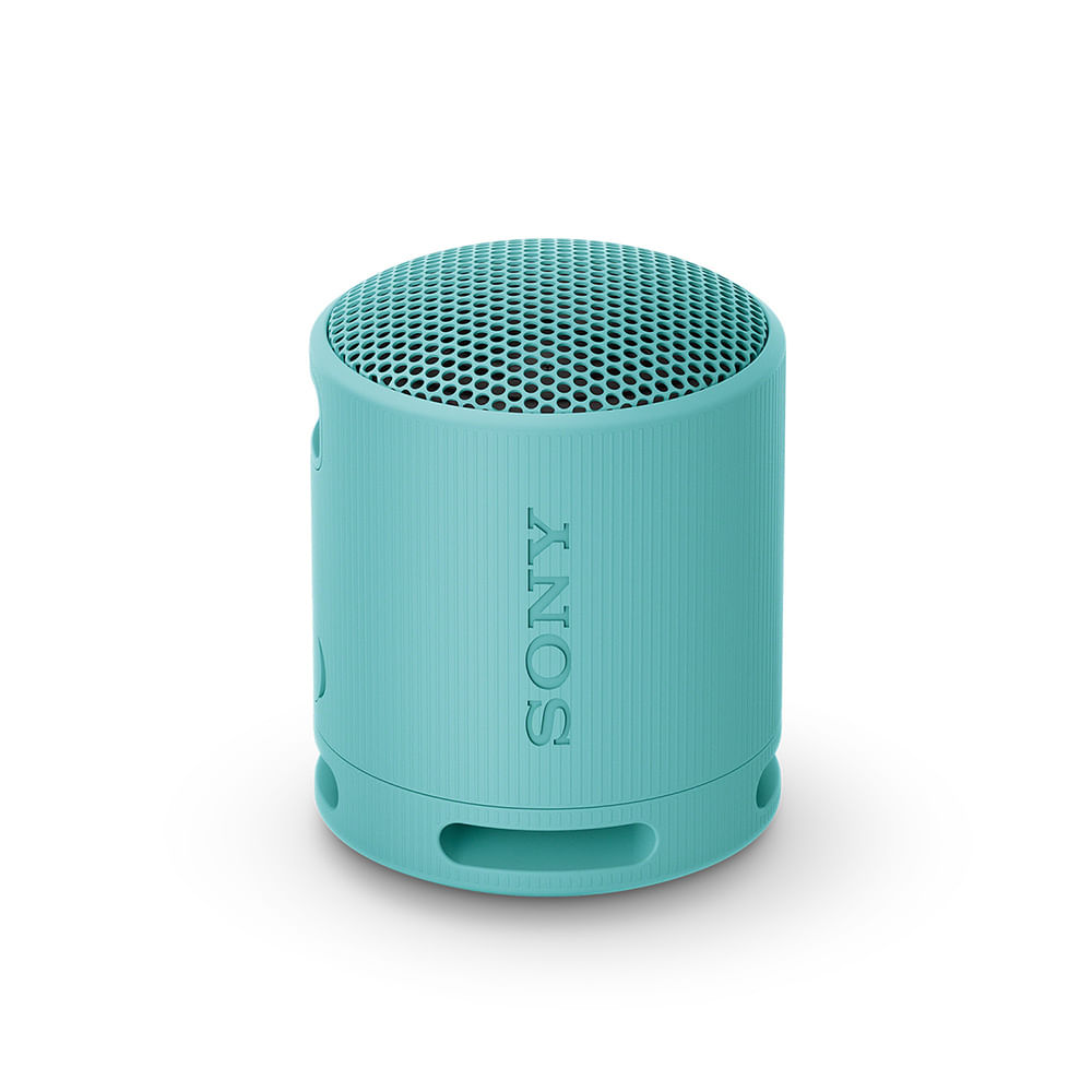 SONY Parlante inalámbrico portátil XB100