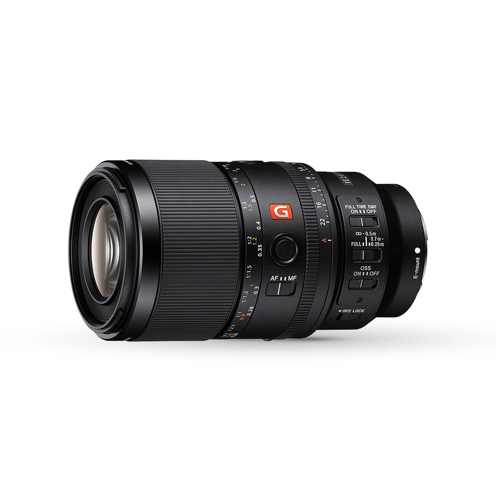 SONY FE 100 mm F2.8 Macro GM OSS